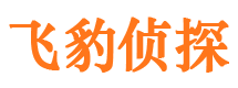 临夏外遇出轨调查取证